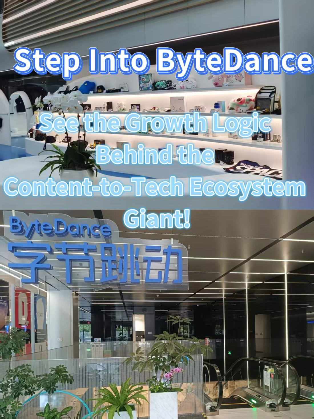 Step Into ByteDance: See the Growth Logic Behind the Content-to-Tech Ecosystem Giant